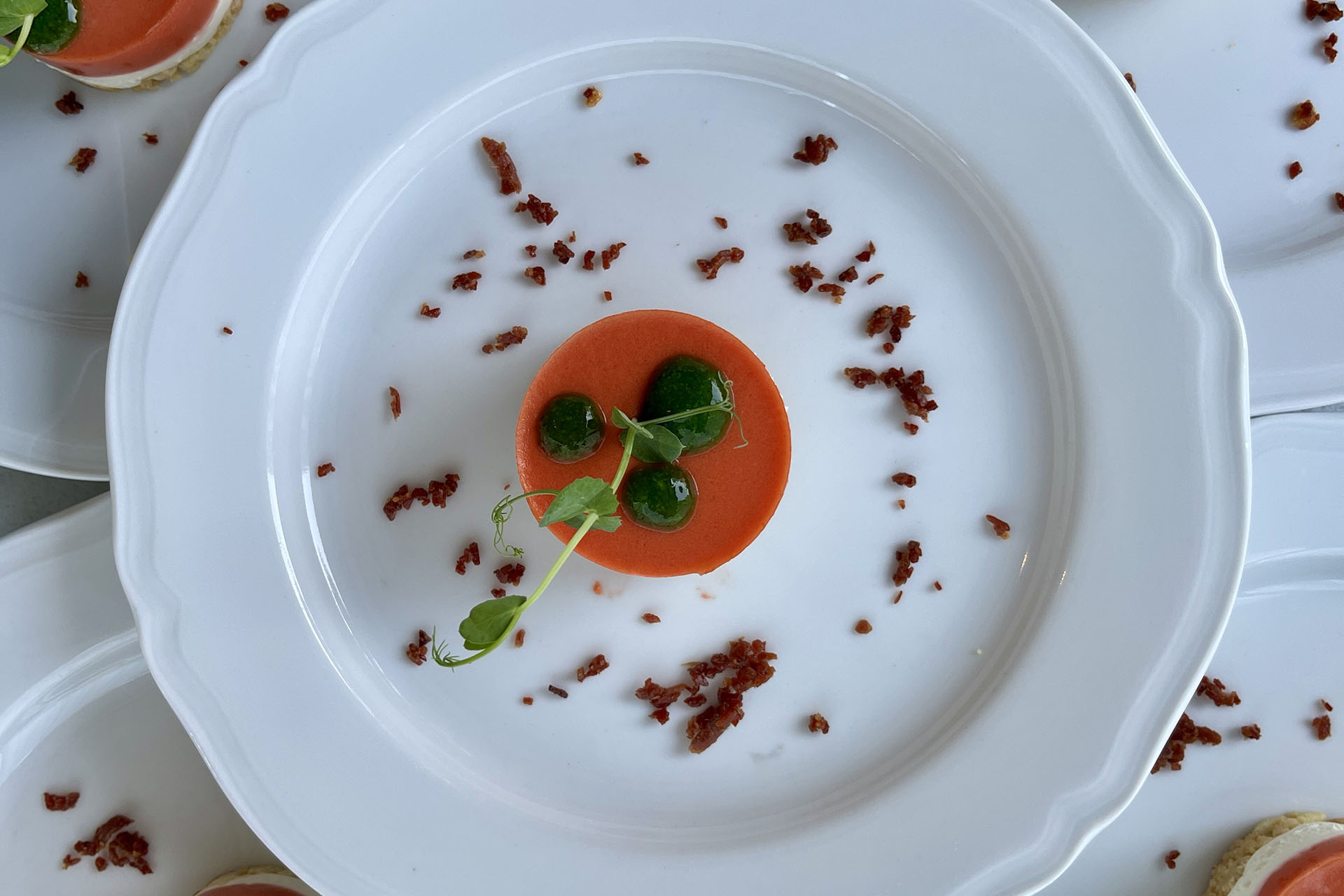 BOCCONDORO_PALAZZO MONTI DELLA PIEVE_MONTICHIARI (3)